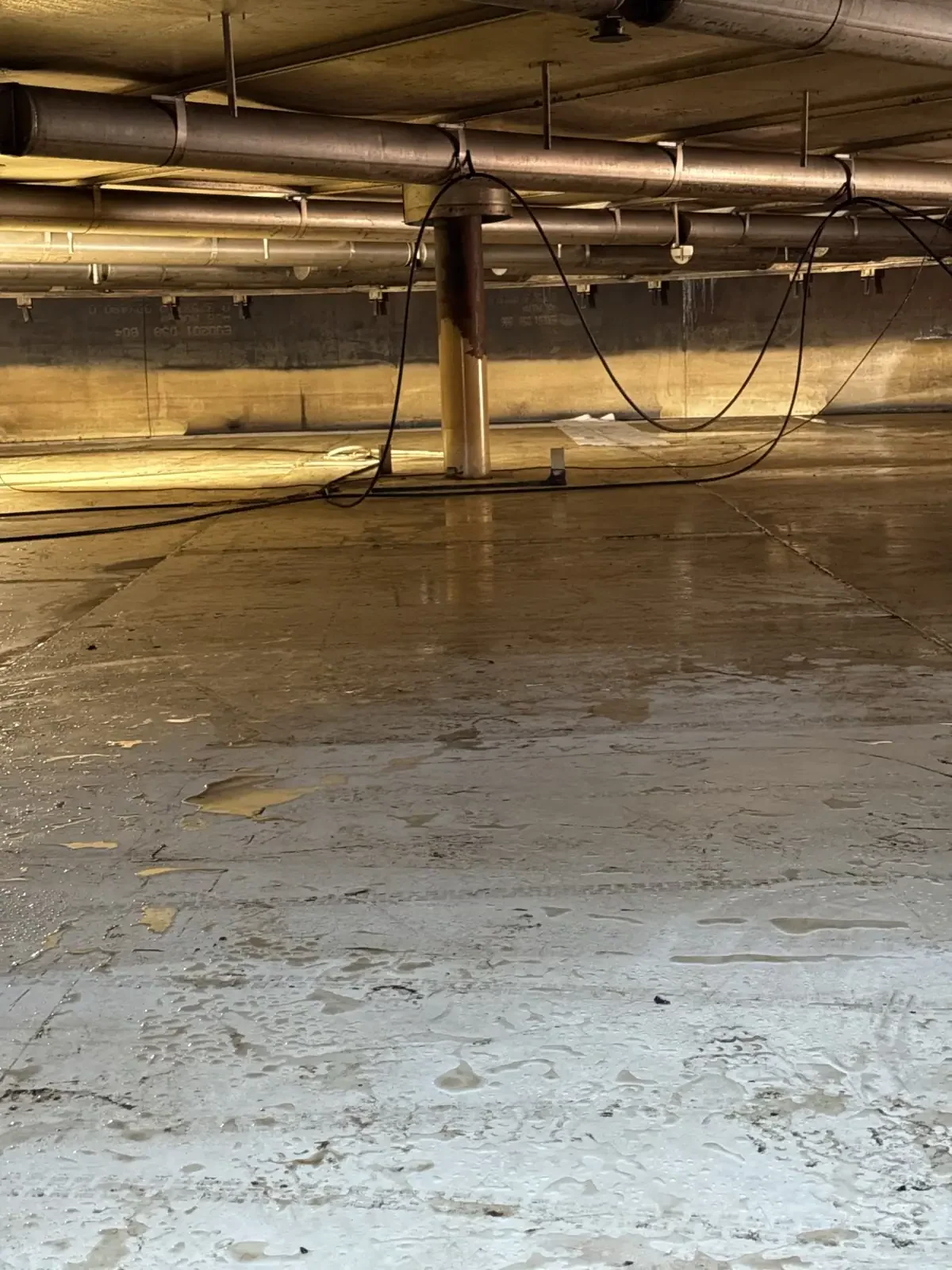 Paint & Coating Removal
